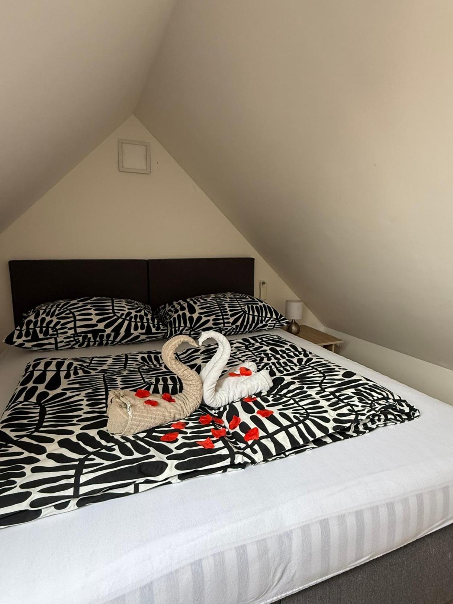 Apartman V Blizkosti Centra Brna ブルノ エクステリア 写真